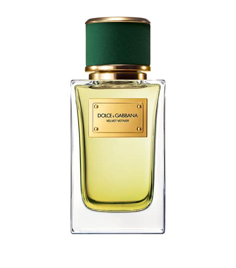 dolce gabbana vetiver|Velvet Vetiver Eau de Parfum Unisex by .